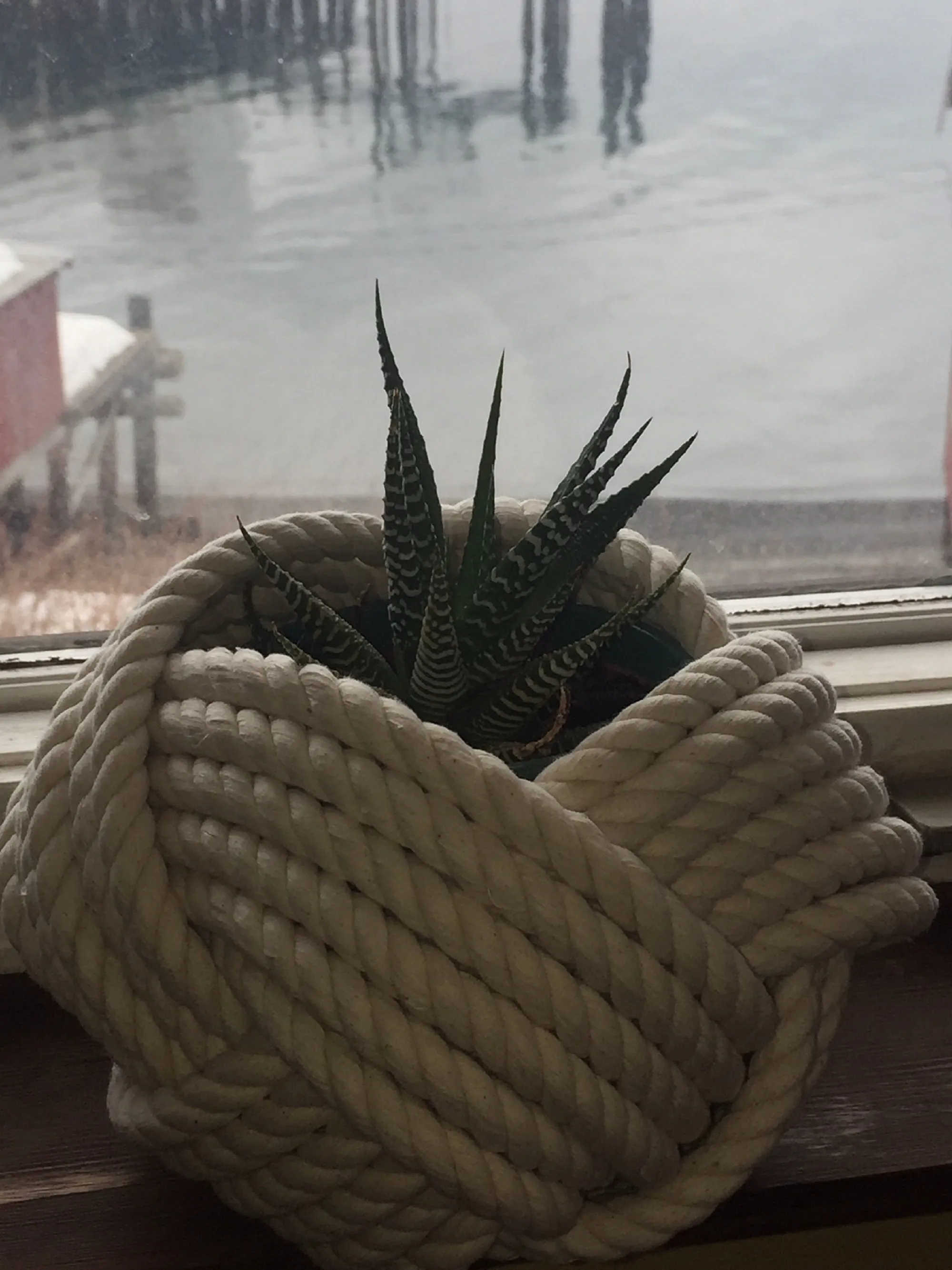 5" x 7" Cotton Bowl