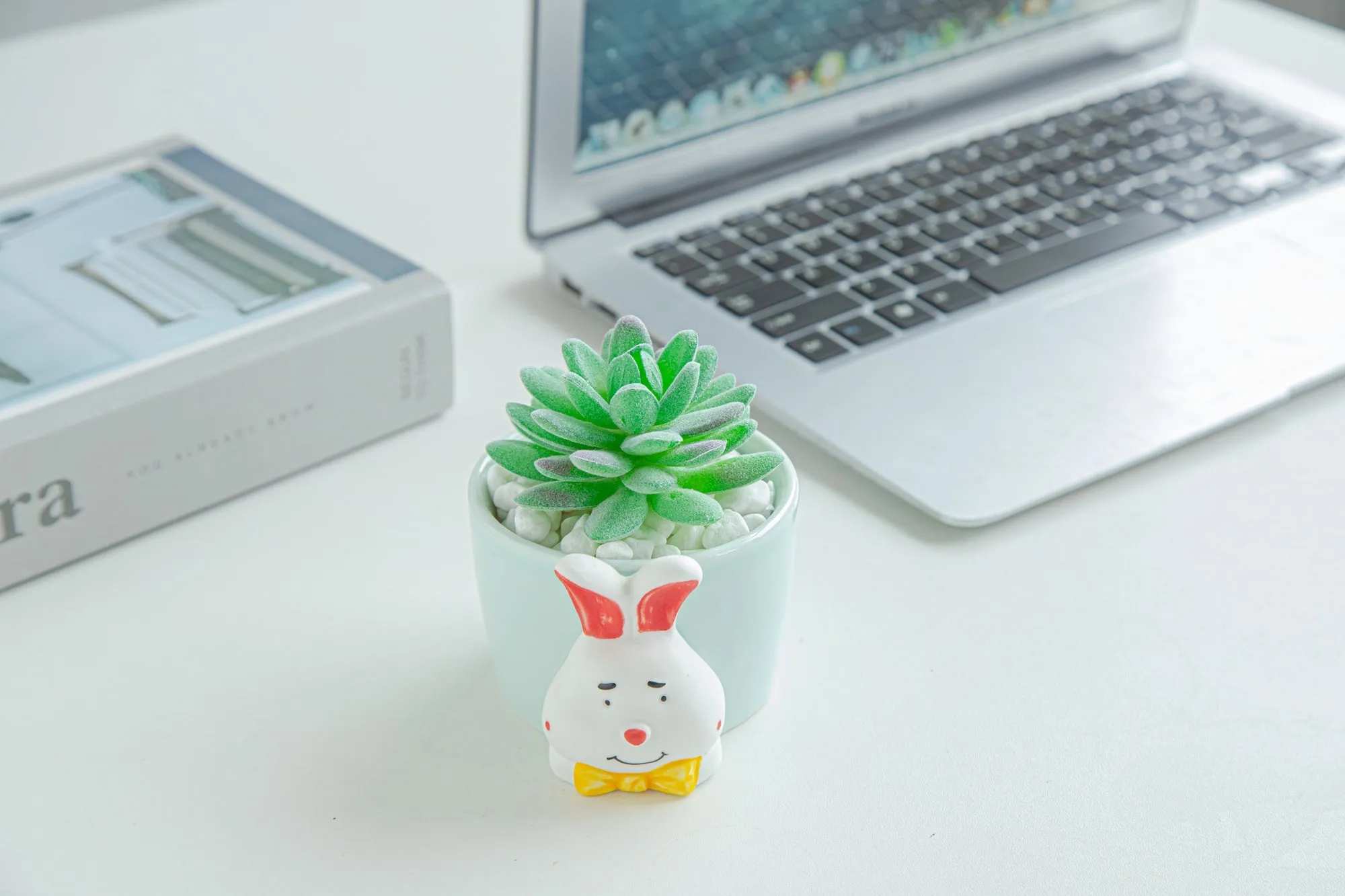 8.5 CM Cute Ceramic Succulent Garden Pots, Planter with Drainage and Attached Saucer -Plants Not Included (Blue)