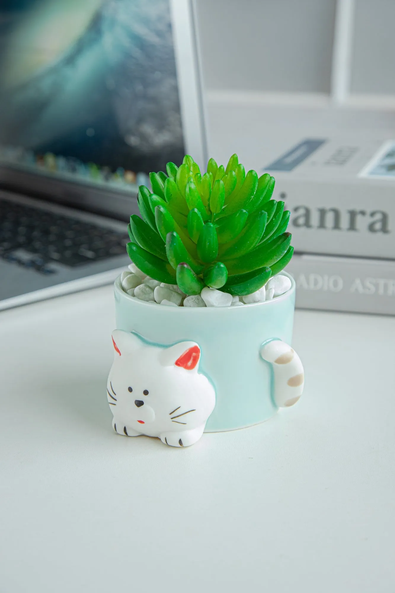 8.5 CM Cute Ceramic Succulent Garden Pots, Planter with Drainage and Attached Saucer -Plants Not Included (Blue)