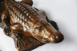 Alligator