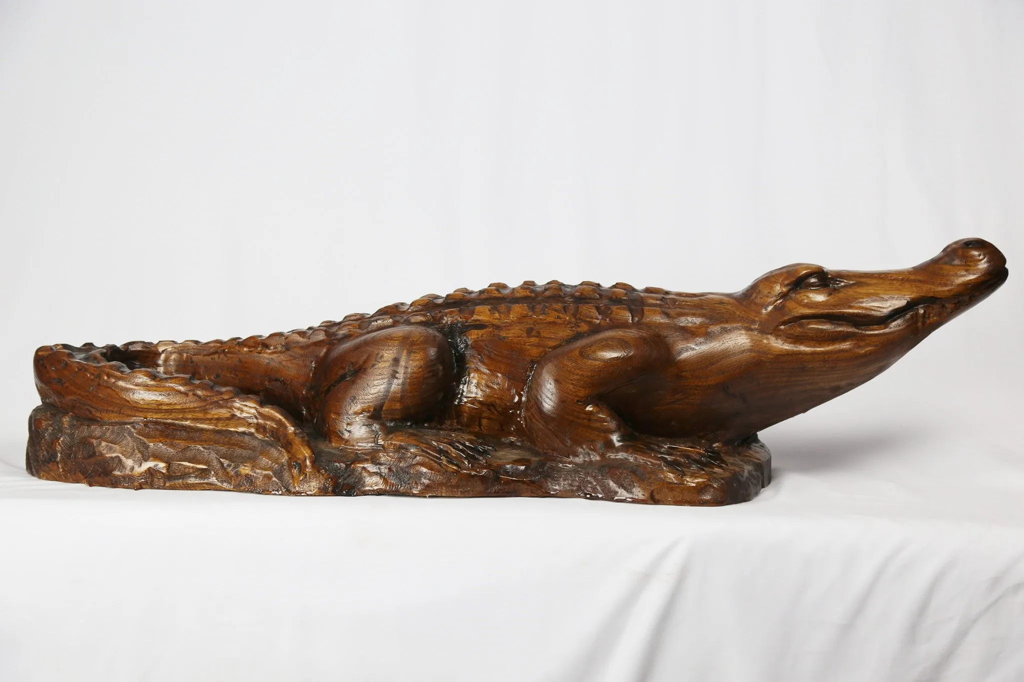 Alligator