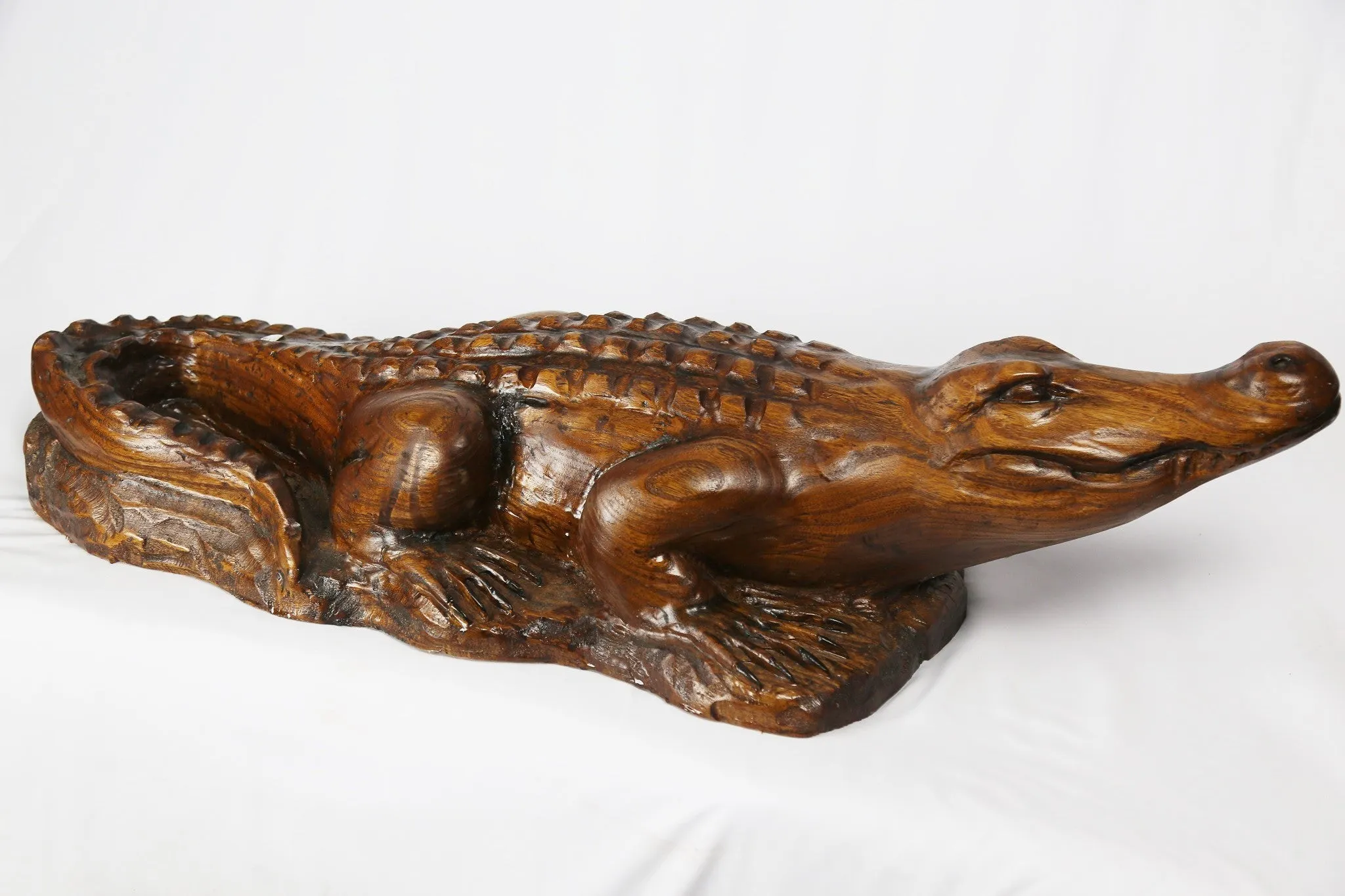 Alligator