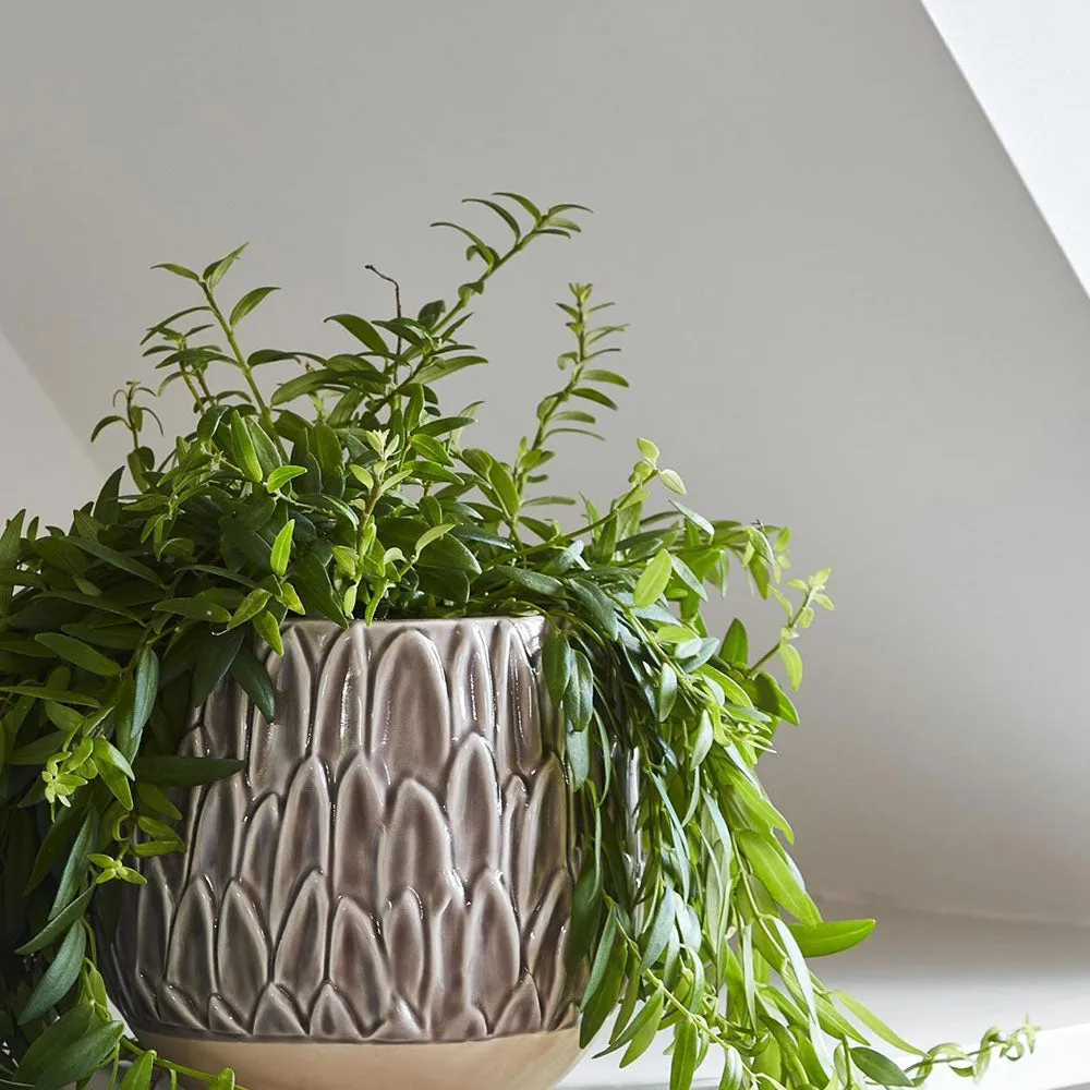 Arles Leaf Embossed Mocha Planter 17cm Height 18cm Dia