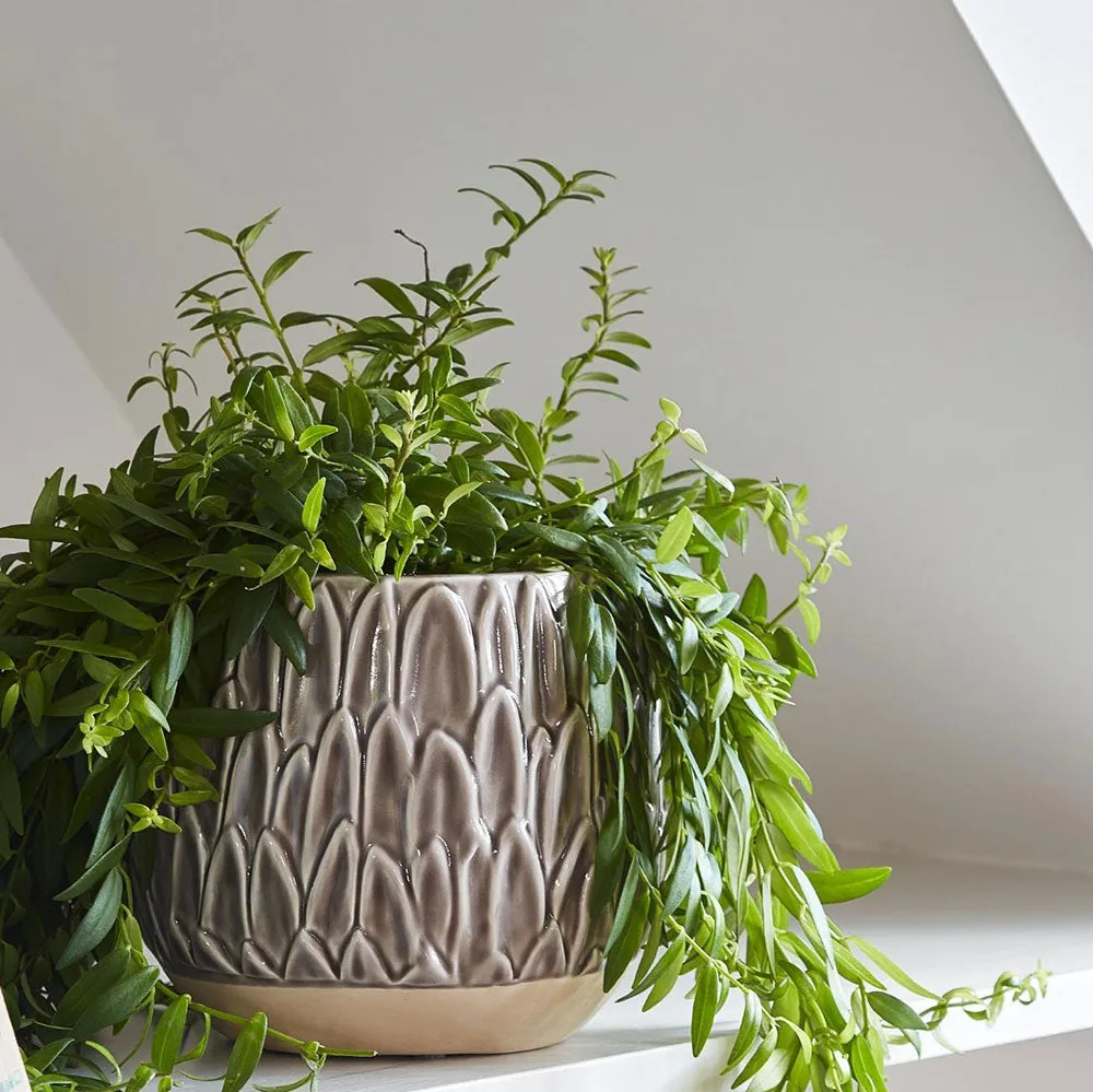 Arles Leaf Embossed Mocha Planter 20cm Height 22cm Dia