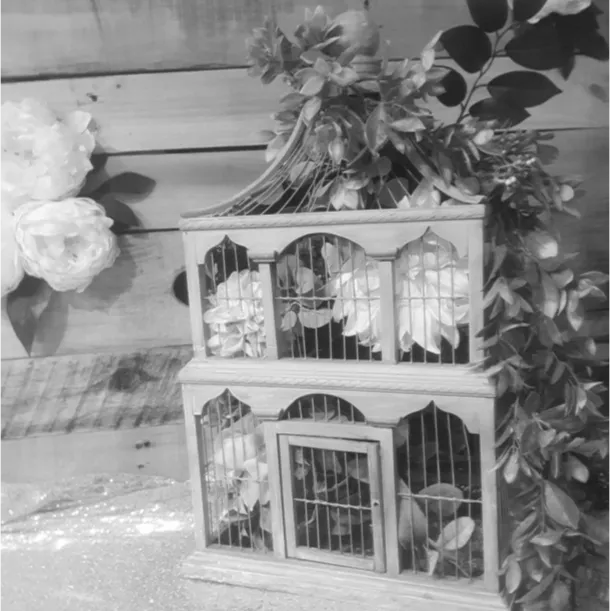 Decorative Birdcages