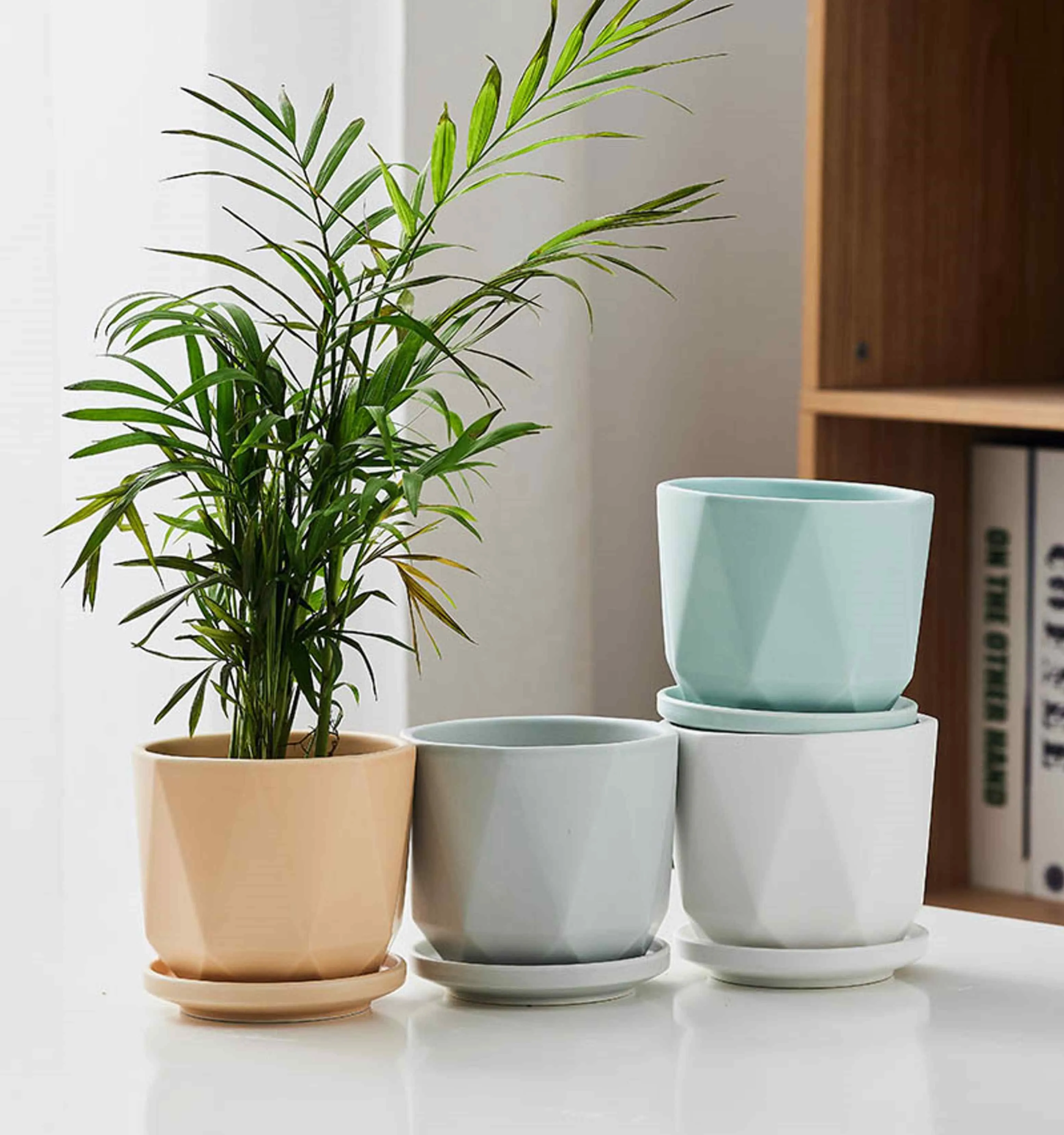 Diamond Glow Pastel Ceramic Planters with Saucers