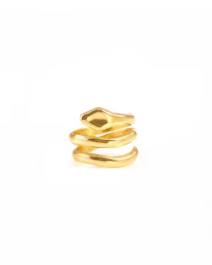 Double Coil ring