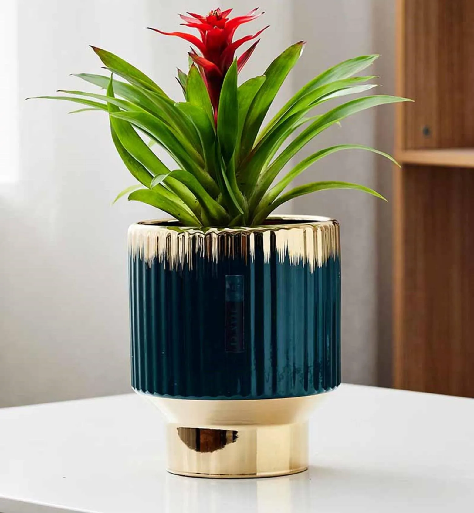 Elegant Teal Blue & Beige Textured Ceramic Planter