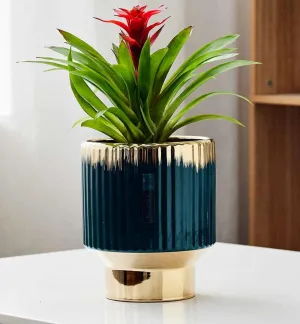 Elegant Teal Blue & Beige Textured Ceramic Planter