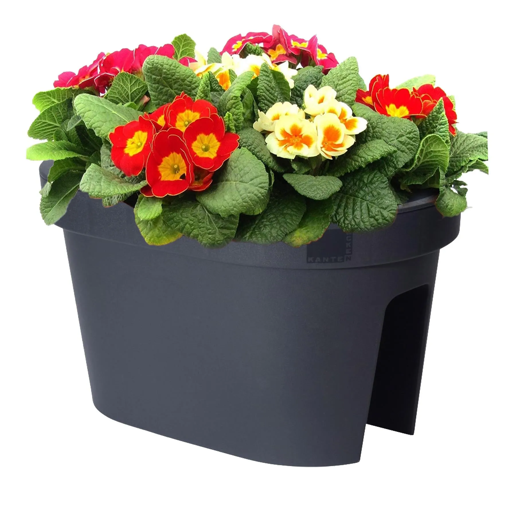 Flower Bridge Hanging Planter Oval Pot