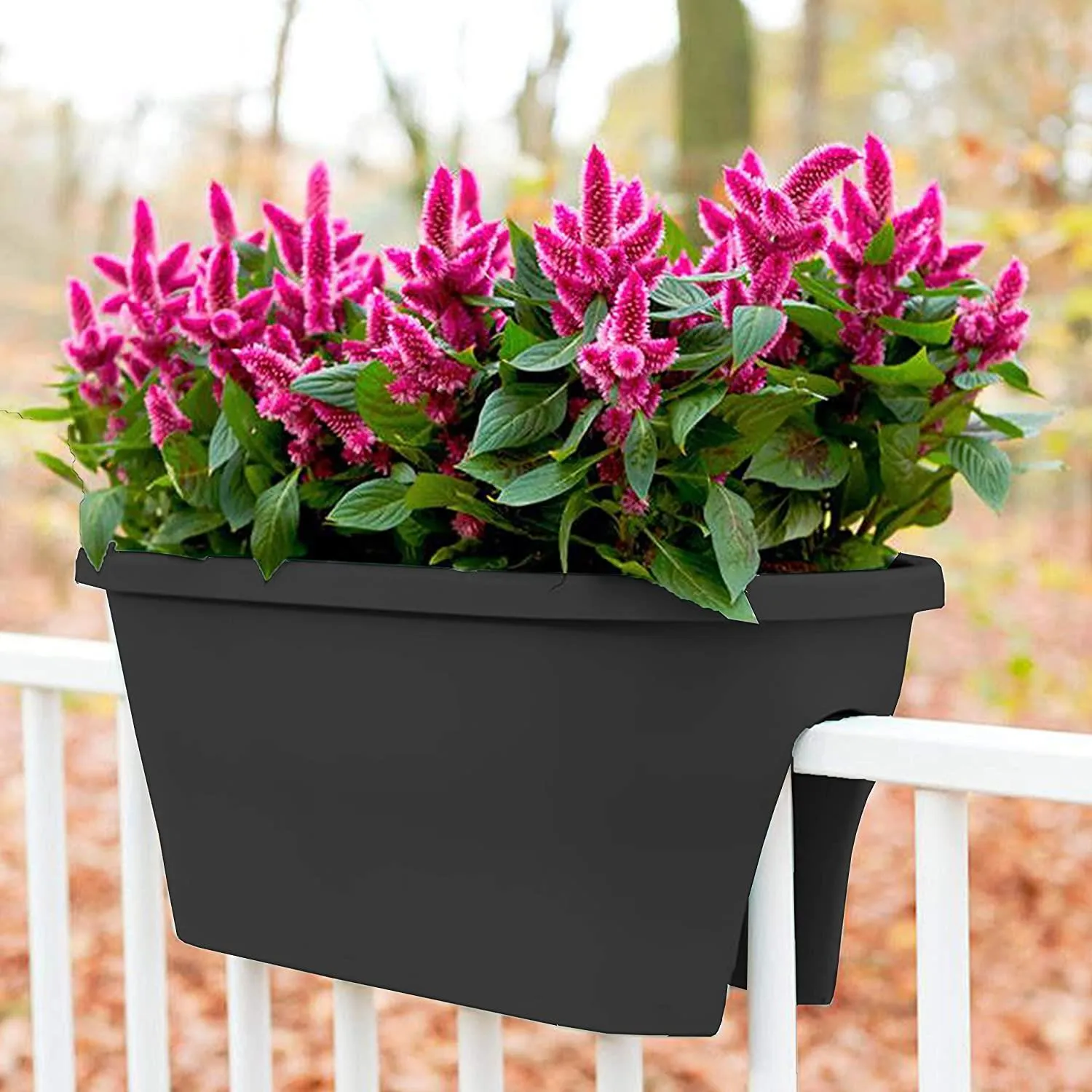 Flower Bridge Hanging Planter Oval Pot