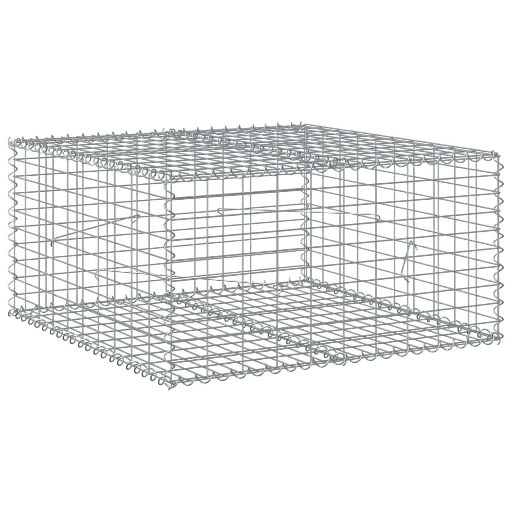 Gabion Basket with Cover 100x100x50 cm Galvanised Iron