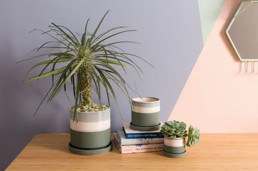 Greer Pot (Small)