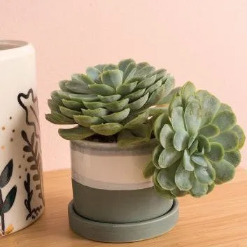 Greer Pot (Small)