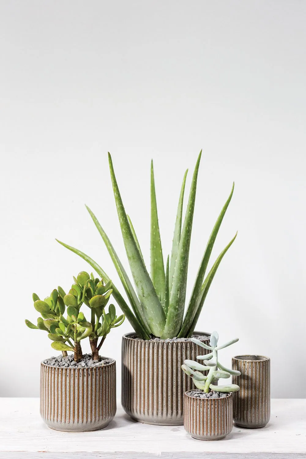 Habitat Pot (Small)