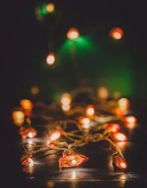 Handmade LED String Lights Pink Lily Bougainvillea