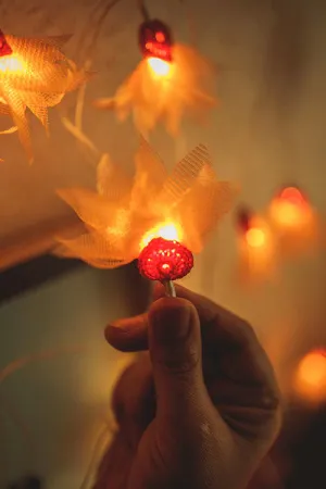 Handmade LED String Lights Pink Rose with Hearts