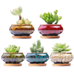 LAMDAWN Cute Ceramic Succulent Garden Pots, Planter with Drainage and Attached Saucer, Set of 5 -Plants Not Included (Burner )