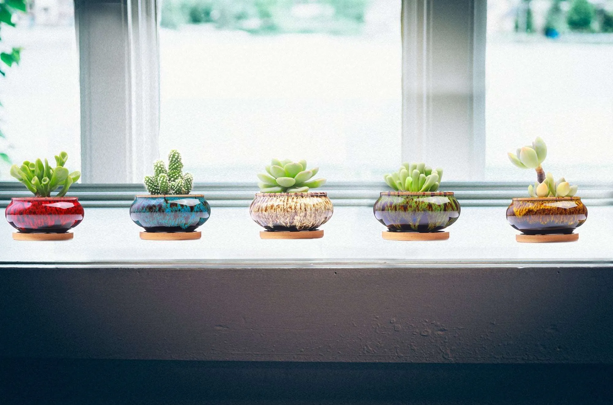 LAMDAWN Cute Ceramic Succulent Garden Pots, Planter with Drainage and Attached Saucer, Set of 5 -Plants Not Included (Burner )