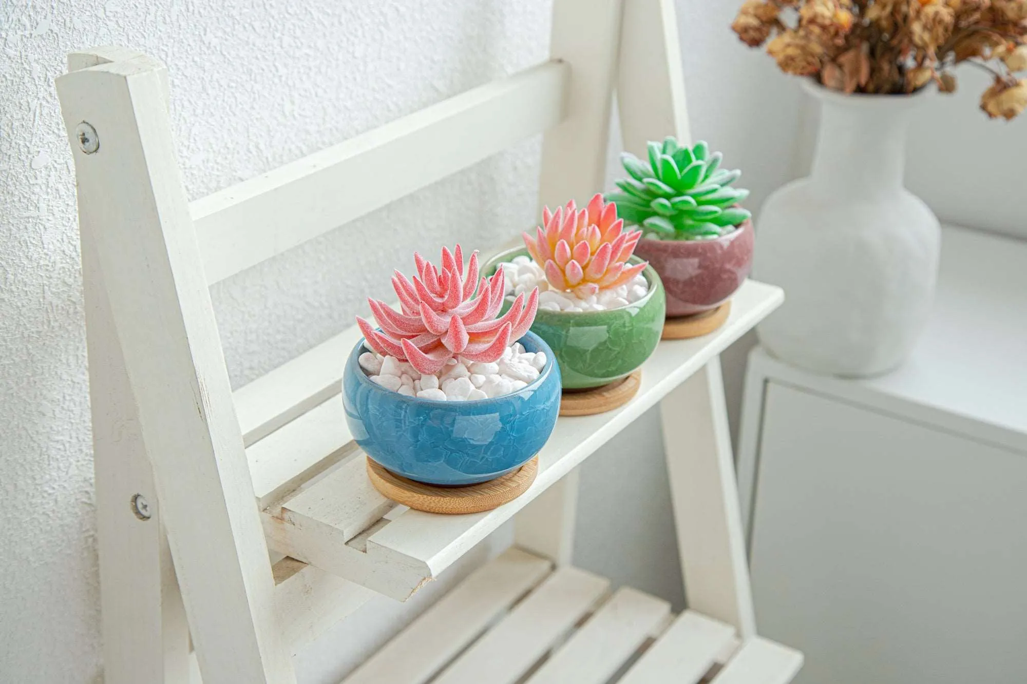 LAMDAWN Cute Ceramic Succulent Garden Pots, Planter with Drainage and Attached Saucer, Set of 5 -Plants Not Included (Ice Cracks Round)