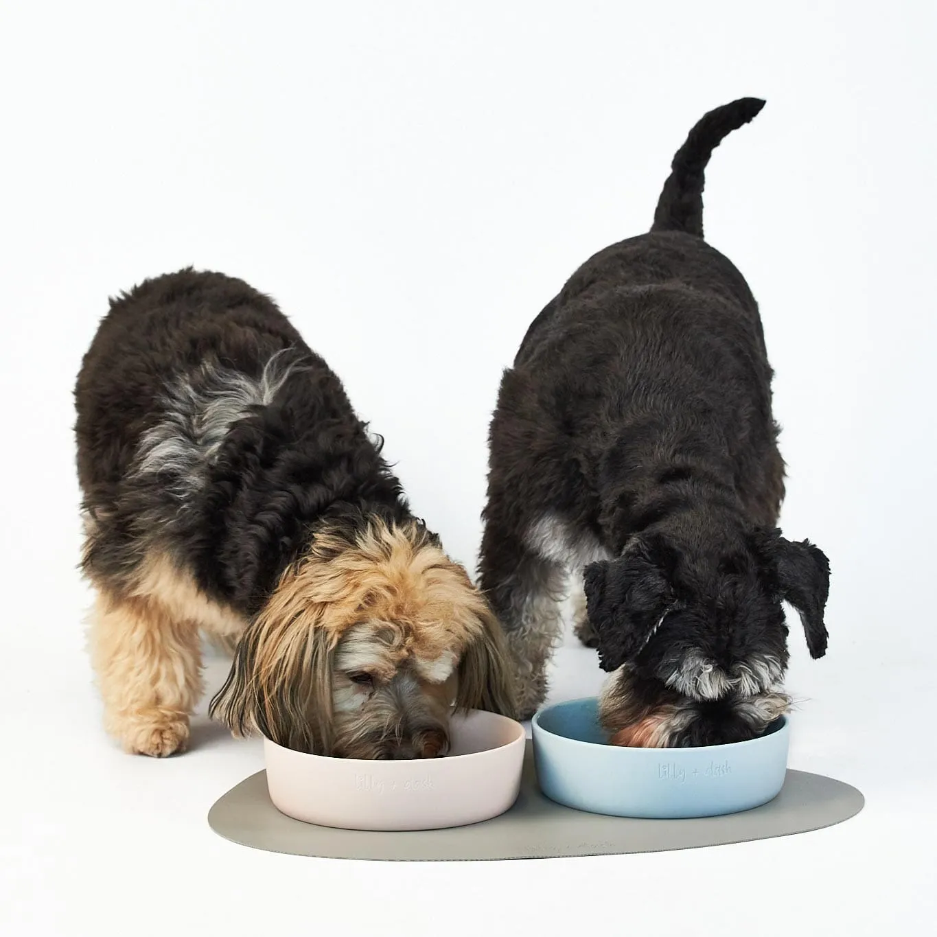 Lily and Dash Dog Bowl Slate