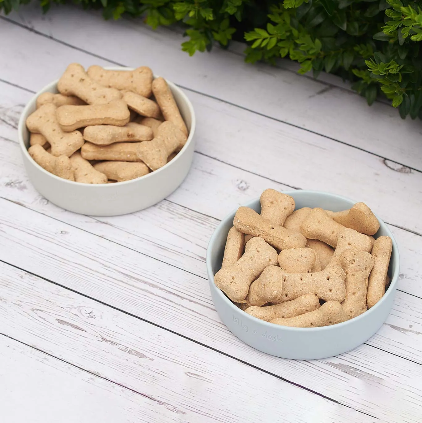 Lily and Dash Dog Bowl Slate