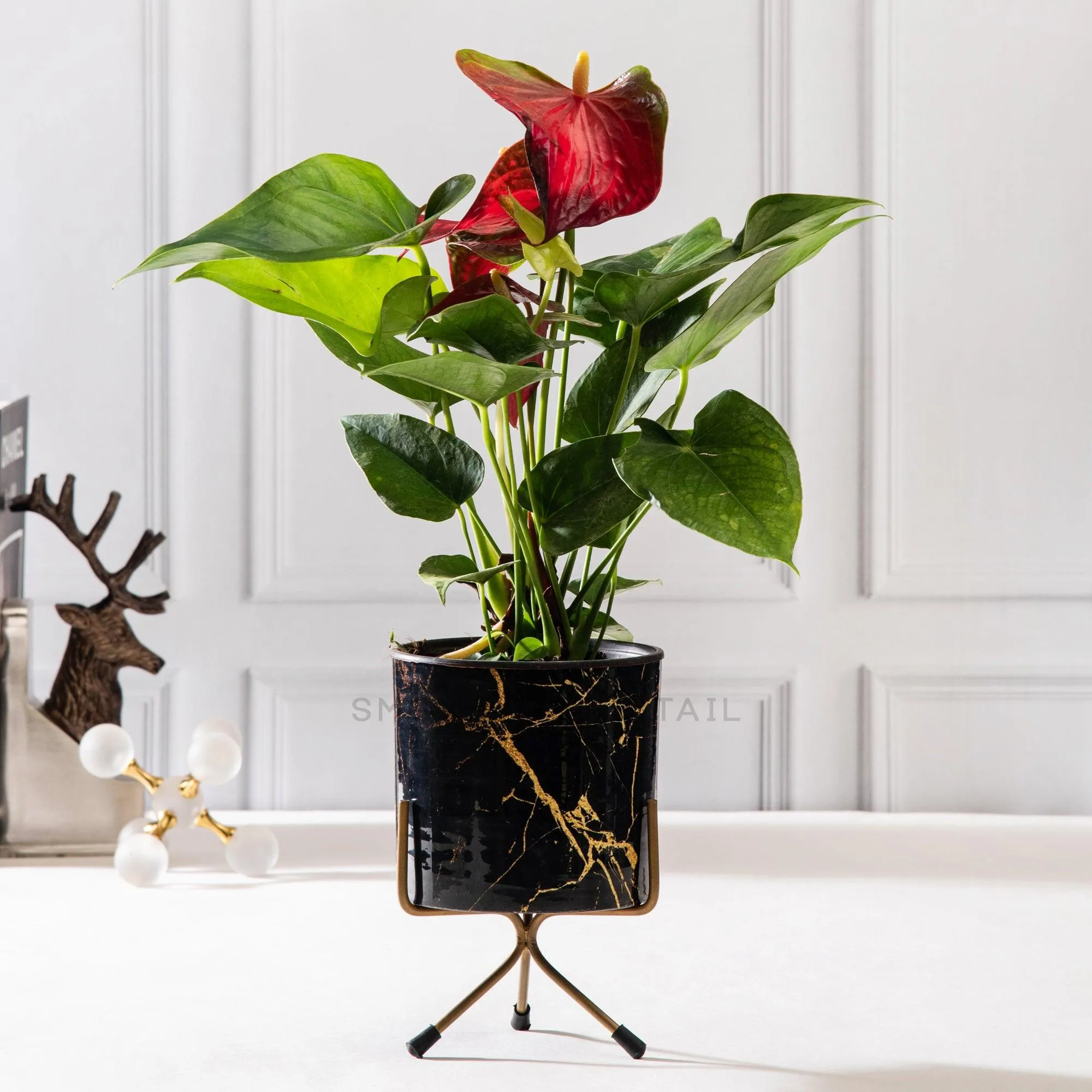 Marble Look Planter - Set Of 2
