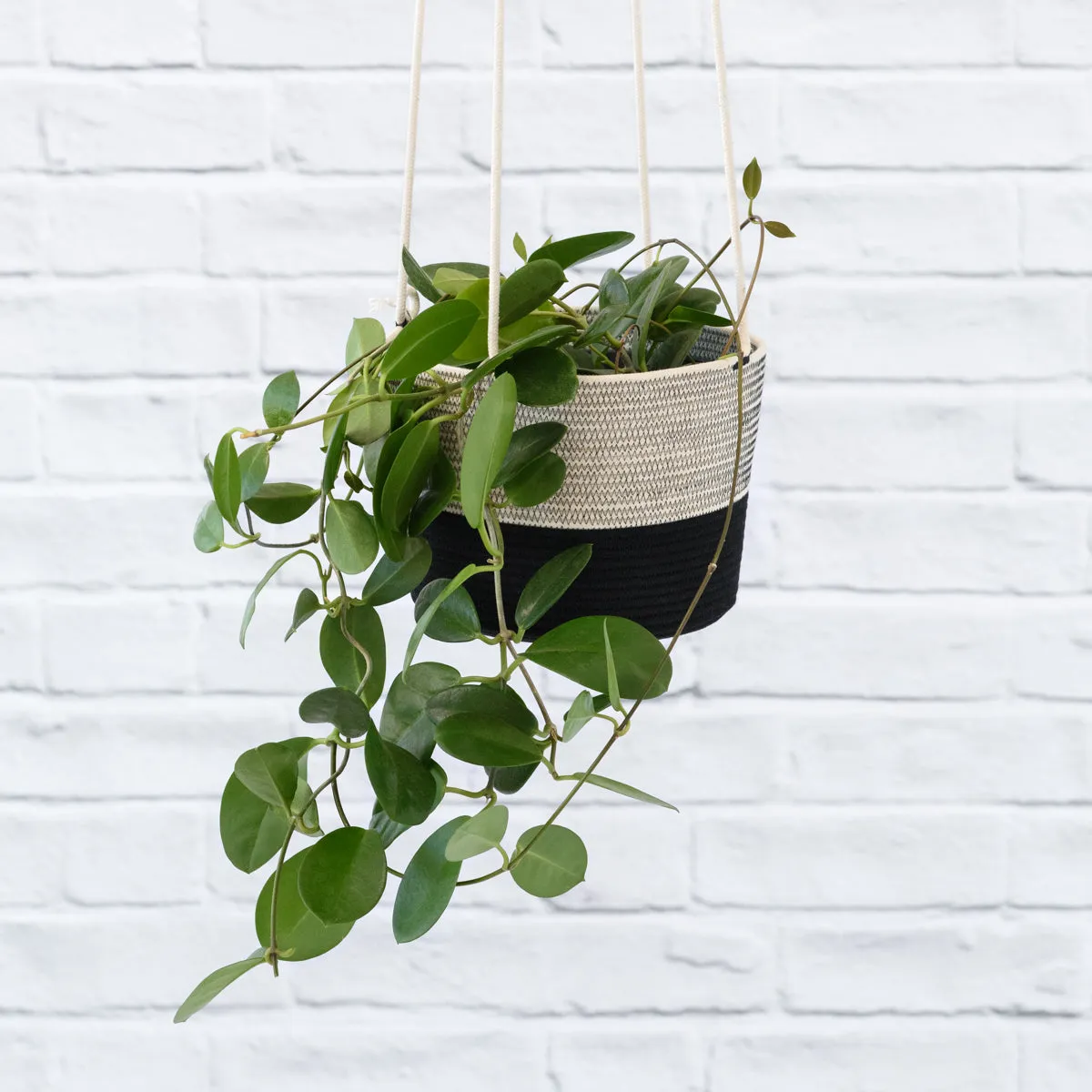 Mia Melange - Large Hanging Planter