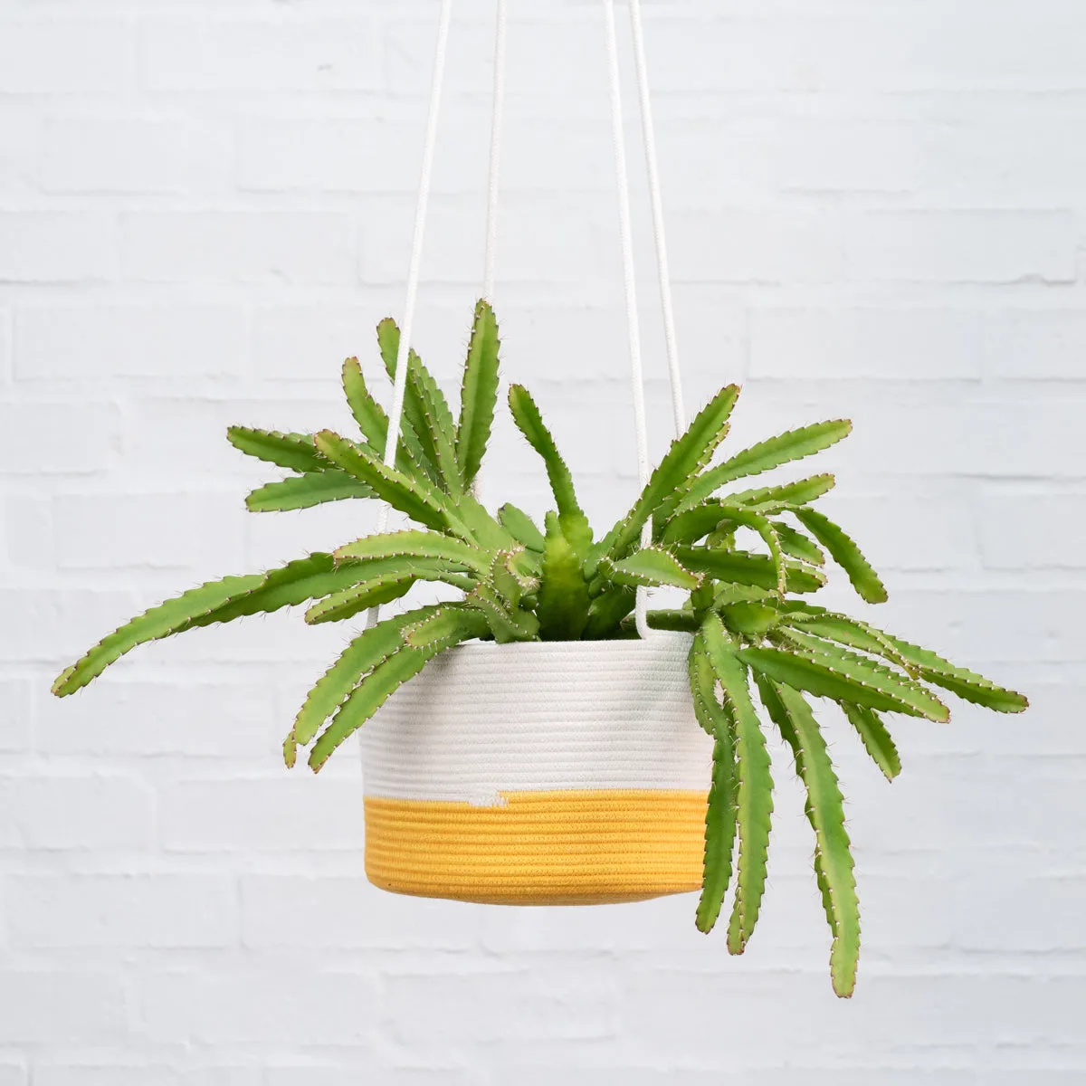 Mia Melange - Large Hanging Planter