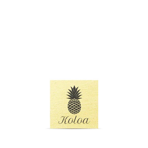 Pineapple (Koloa) Magnet