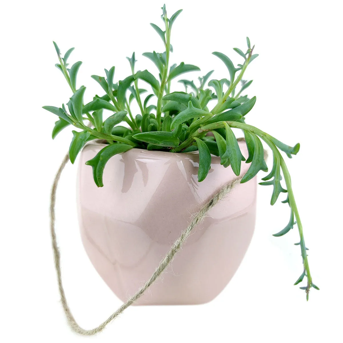 Pink Hanging Hexagon Planter