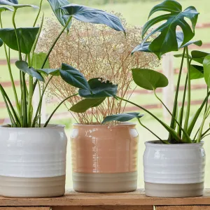 Puro Lipped Gloss Peach Ripple Planter
