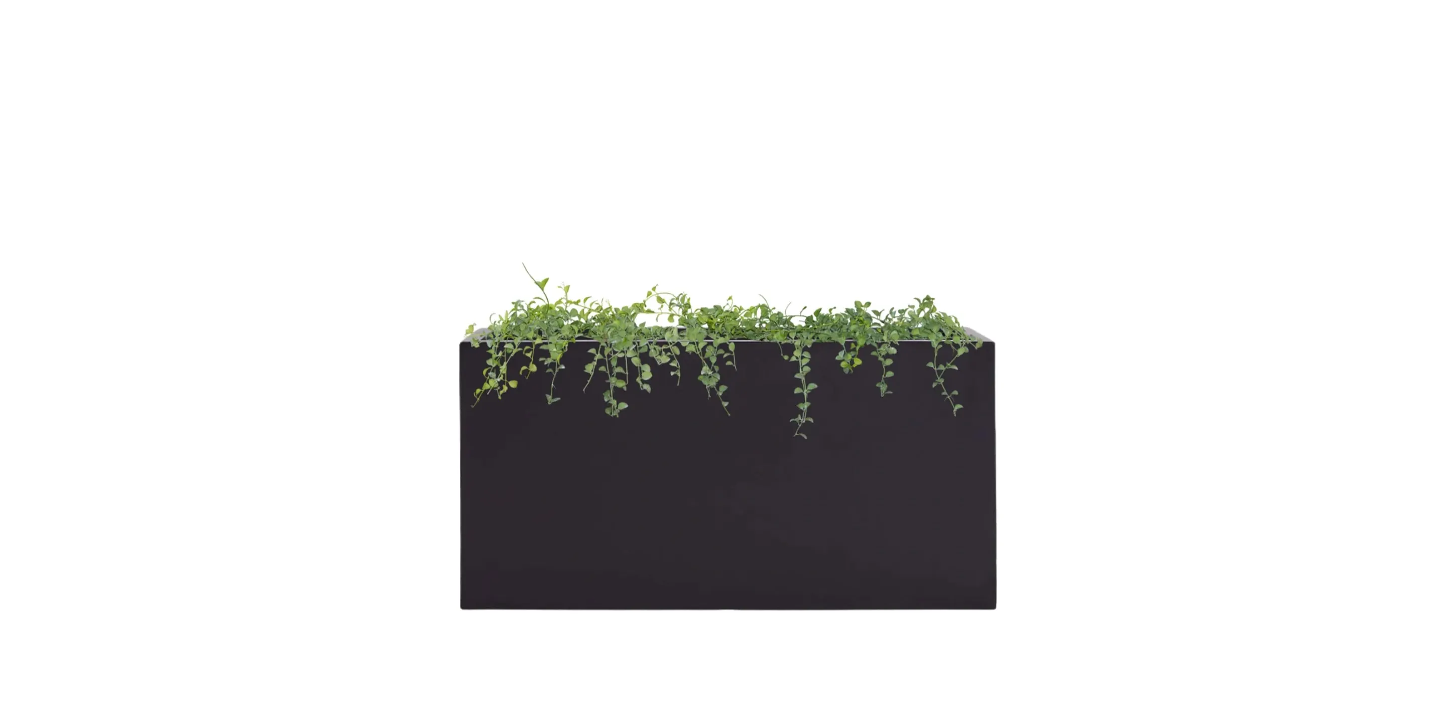 Rectangular Planter