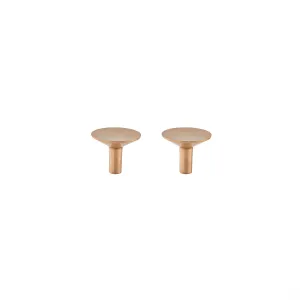 Rina Hook / Knob Large - Pack of 2 - Brushed Brass