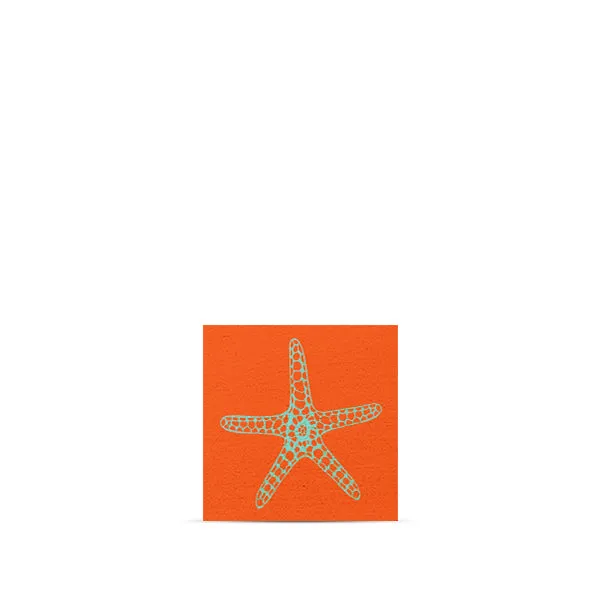 Starfish Magnet