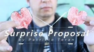 Surprise Proposal - INSTANT DOWNLOAD