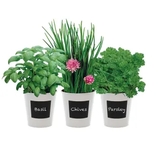 Trio Herb Growing Set