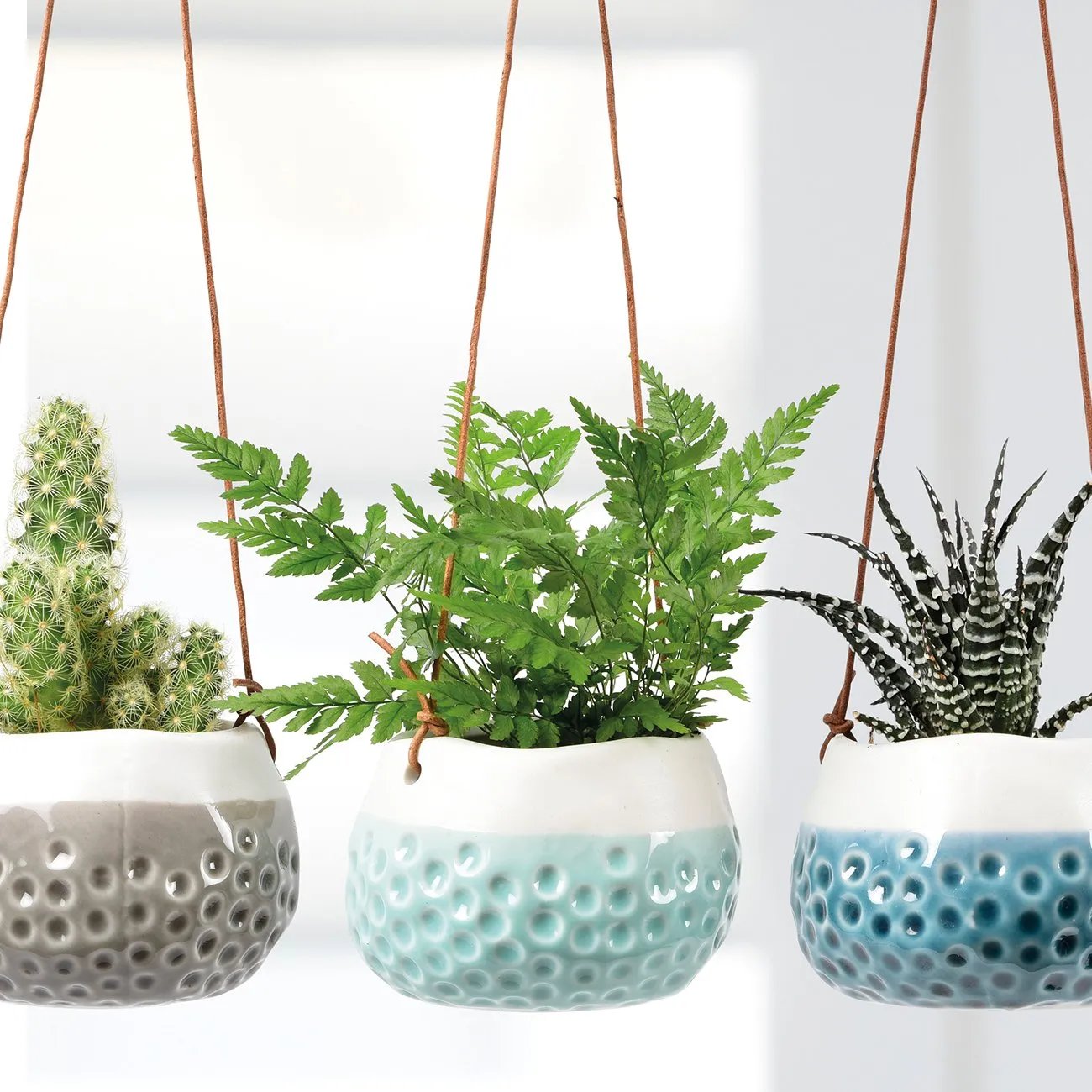Trio of 'Baby Dotty' Hanging Pots
